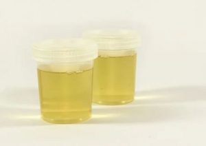 synthetic urine